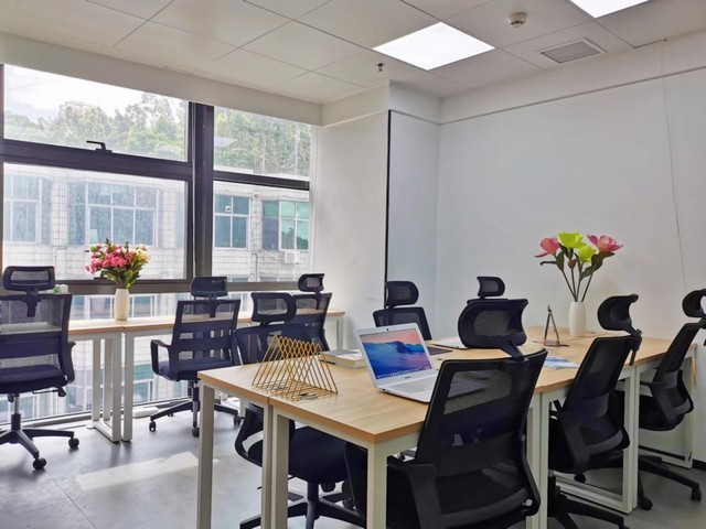 杨浦花卉绿植租赁上门服务