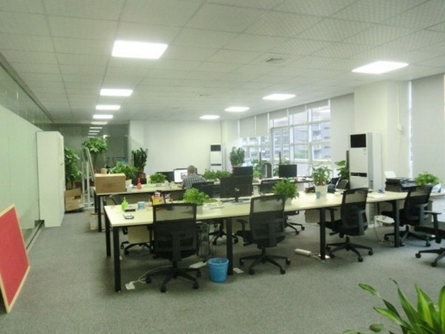 棉柔无锡白酒价格